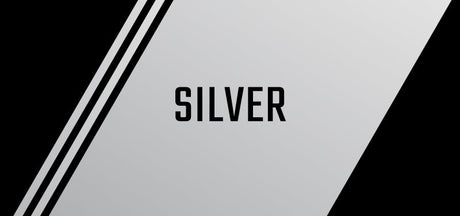 Silver Darts for sale