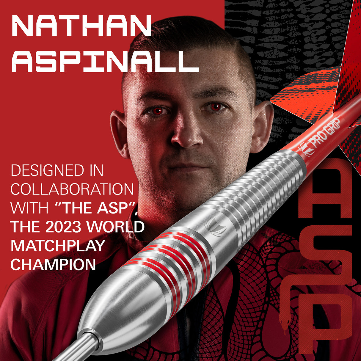 Target Nathan Aspinall Darts - Steel Tip - Brass