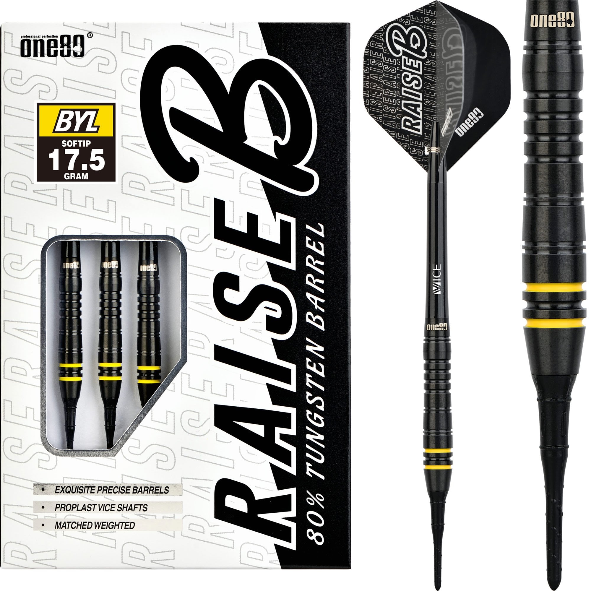 SOFT DARTS BIBLE 17冊 $_57.JPG?set_id=880000500F